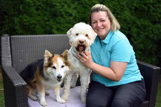 Hund wird ruhig und einfühlsam begleitet
