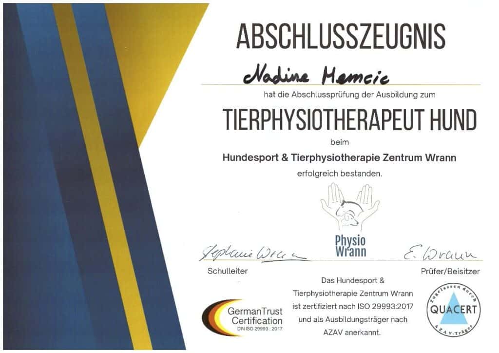 Zertifikat für Tierphysiotherapie: Abschlusszeugnis von Nadine Memcic als geprüfte Tierphysiotherapeutin für Hunde vom Hundesport & Tierphysiotherapie Zentrum Wrann.