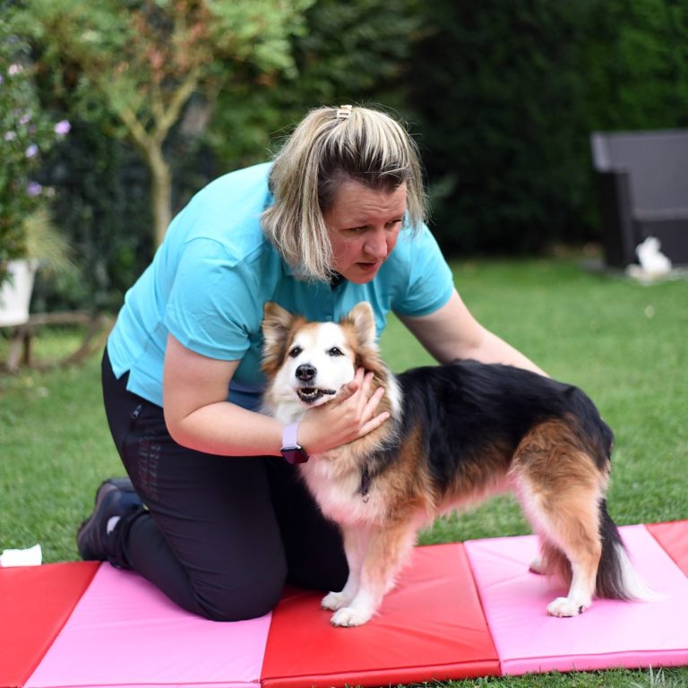 Tierphysiotherapeutin kniet im Garten Tierphysiotherapeutin kniet im Garten mit ihr auf eine Matte steht ein Mittelgroßer Hund und sie führt Mobilisation Übungen durch