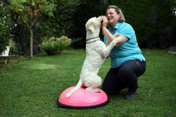 Eine Tierphysiotherapeutin trainiert einen Hund Eine Frau trainiert einen Hund auf einem pinken Balance-Gerät im Garten.