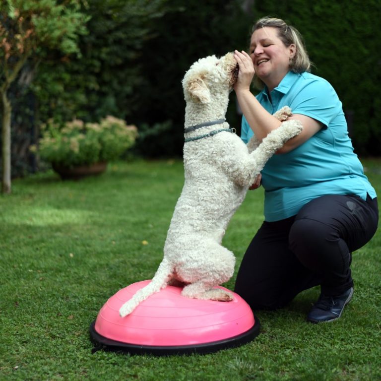 Tierphysiotherapeutin mit weissem Hund macht Balanceübung Eine Tierphysiotherapeutin kniet auf dem Rasen und behandelt den Hund auf einer pinken Balanceplatte.